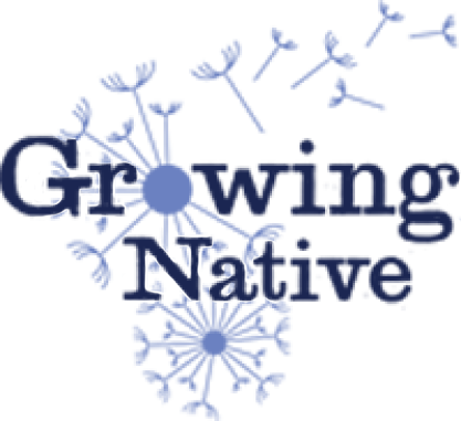 gn-logo